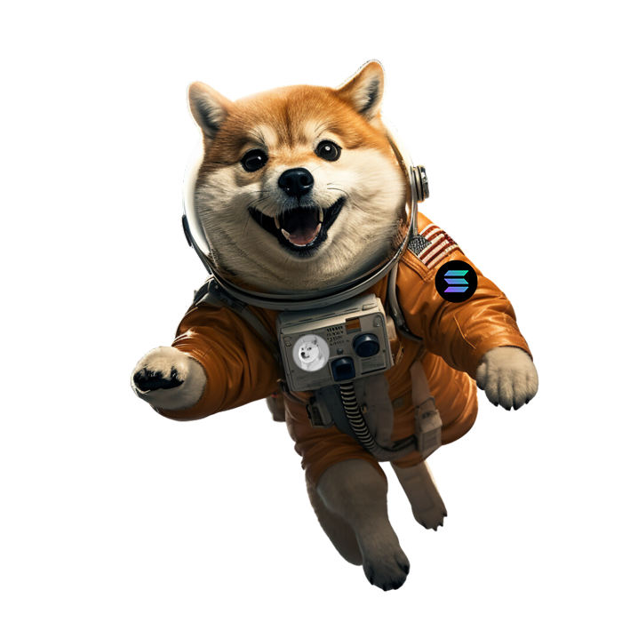 XAIDOGE Character